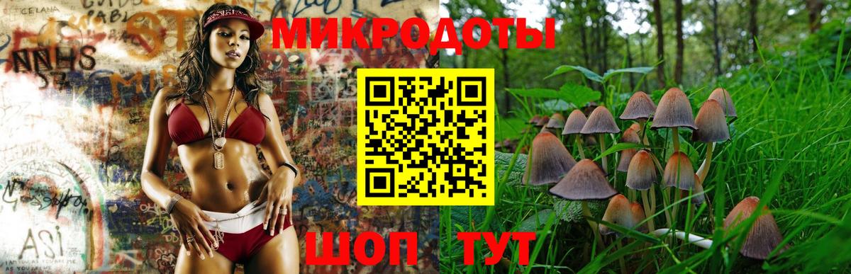 Псилоцибиновые грибы мухоморы  Вход с VPN  Галлюциногенные грибы GOLDEN TEACHER  хочу наркоту  Кострома 